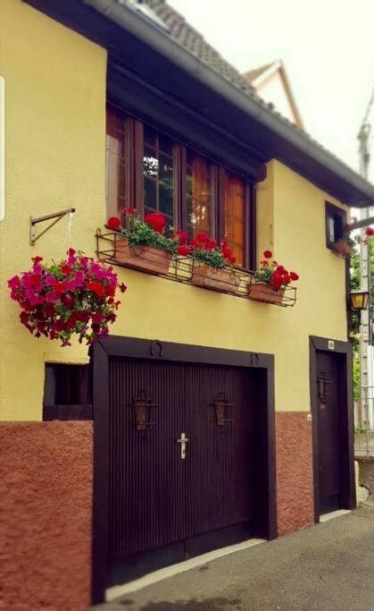 Chez Mamema, Maison Alsacienne Route Des Vins キンツアイム エクステリア 写真